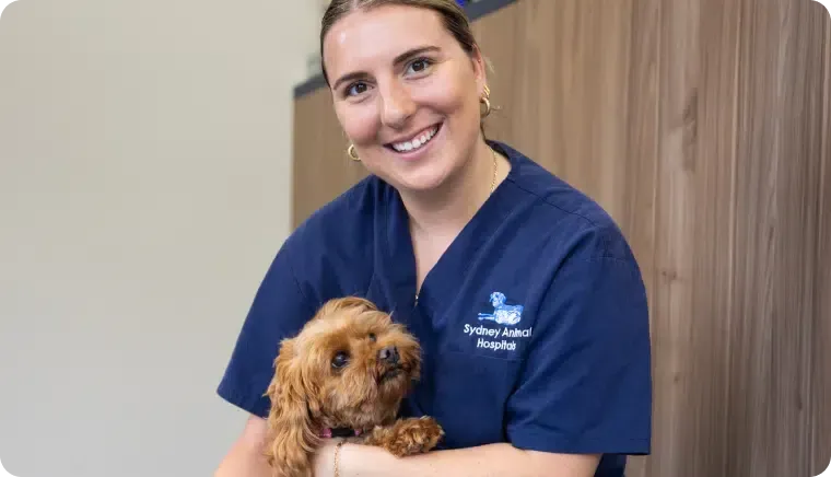 Woman in blue scrubs smiling, holding a small brown dog in a clinic setting.