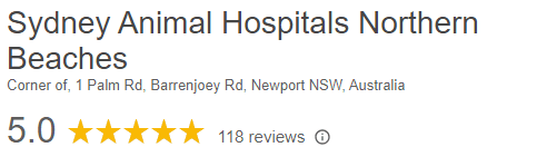 Sydney Animal Hospitals Northern Beaches with 5.0 stars and 118 reviews.