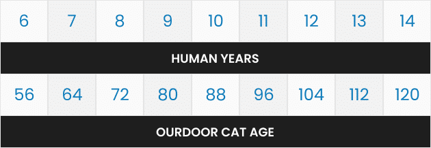 Chart comparing human years to outdoor cat age from 6 to 14.