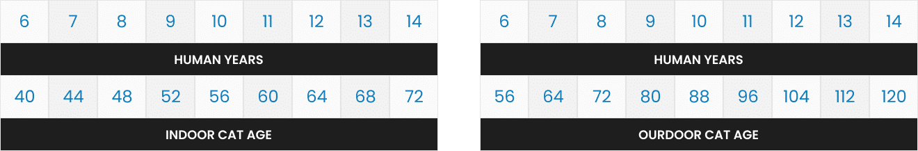 Table comparing the parameters of two chemical reactions; both use the same reactants.