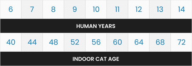 Cat age conversion chart comparing human years to indoor cat age.