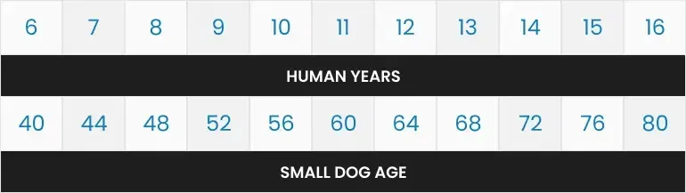 Dog age conversion chart: Human years (6-16) compared to small dog age (40-80).