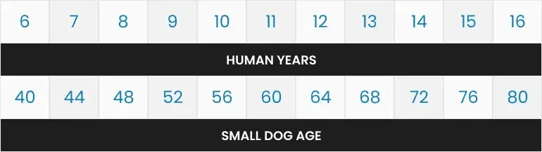 Chart comparing human years to small dog age, with corresponding ages listed.