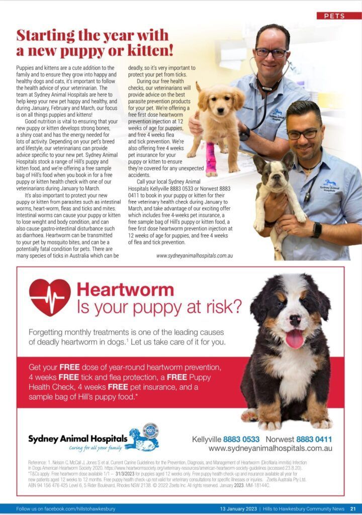 Advertisement: Two vets holding puppies/kitten with text about heartworm risk and preventative care.
