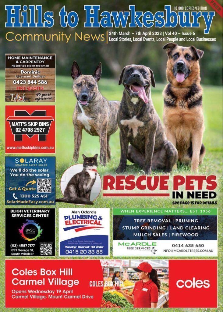 Community newspaper cover: dogs and cat, rescue pets, Coles store, headlines.