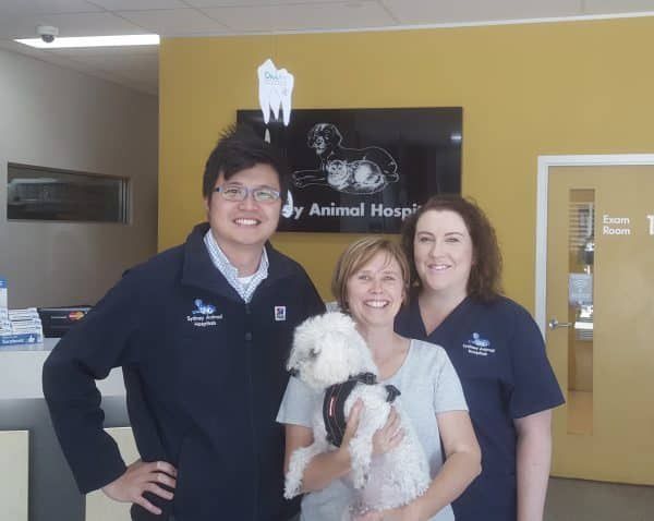 Meet Pippin by Dr Chris Sun