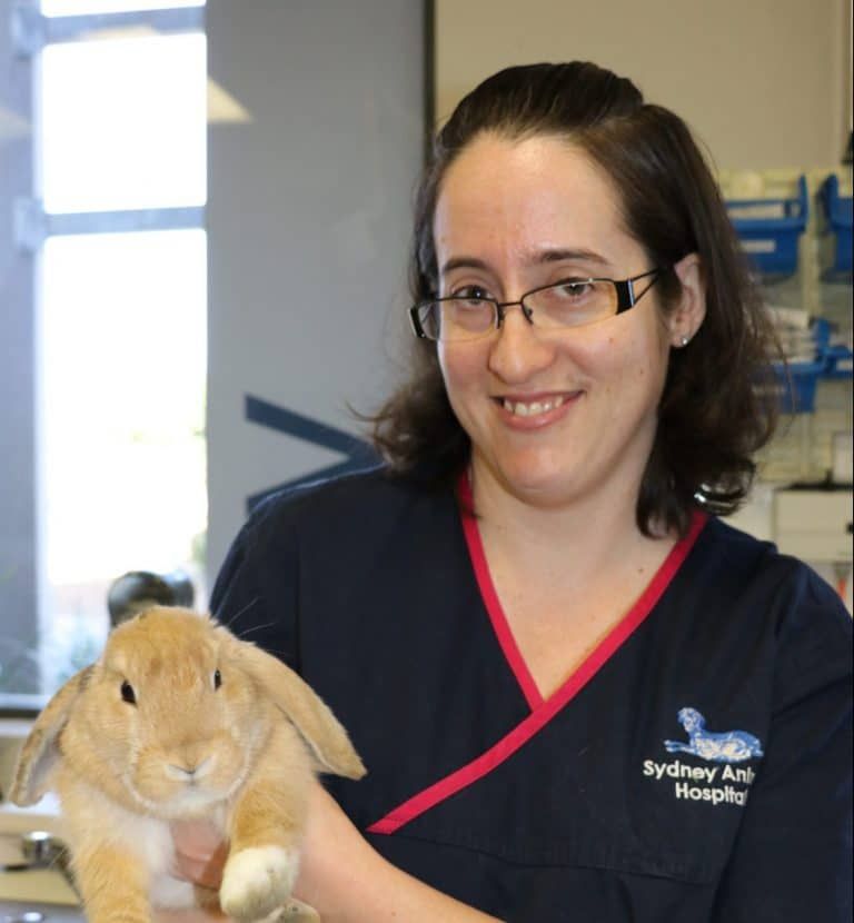 Veterinarian in blue scrubs holding a tan rabbit, smiles at the camera in a clinic setting.