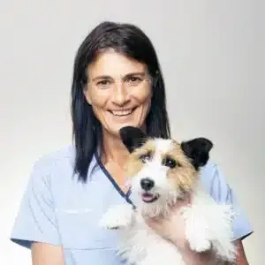 Woman in blue scrubs smiling, holding a small, happy dog. Gray background.