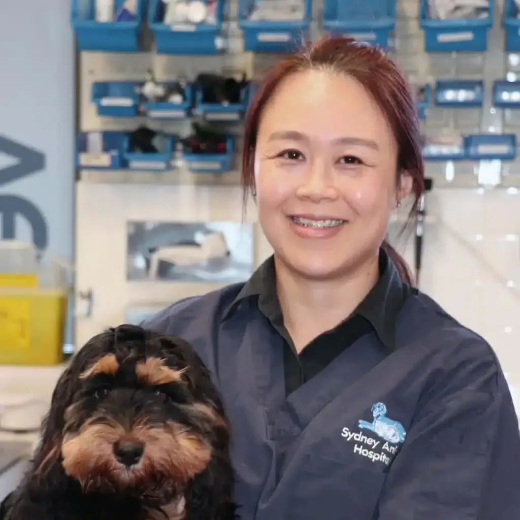 Woman in blue scrubs smiles, holding a black and tan dog in an animal hospital setting.