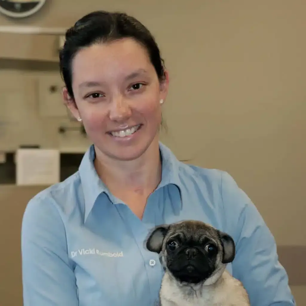 Woman in blue shirt holding a pug puppy, smiling.