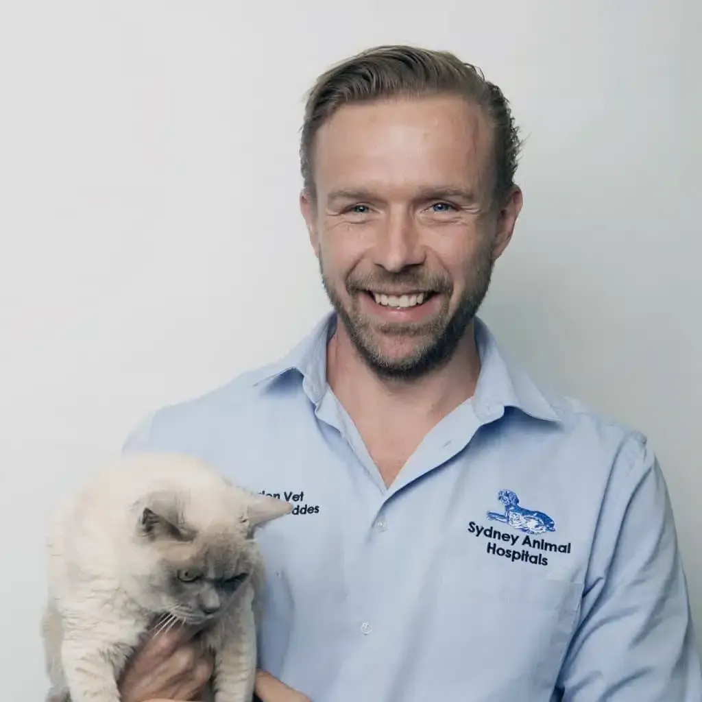 Man in blue shirt holding a cat, smiling. Sydney Animal Hospital logo visible.