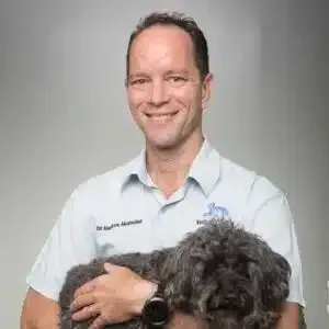 Man in light blue shirt holding a gray dog, smiling.