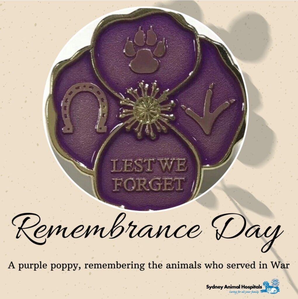 Remembrance Day &ndash; Lest We Forget