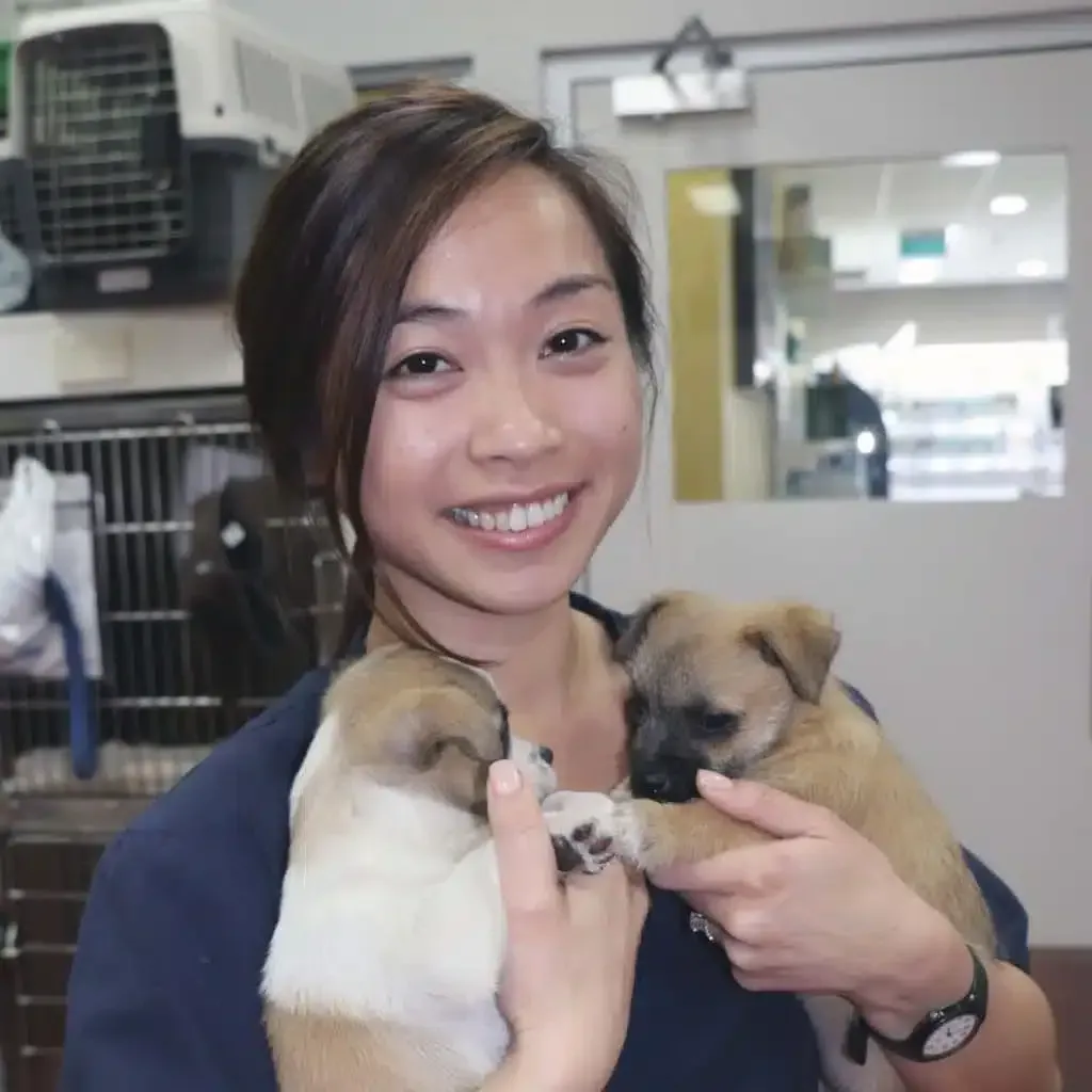 Woman smiling, holding two brown puppies in a veterinary clinic setting.