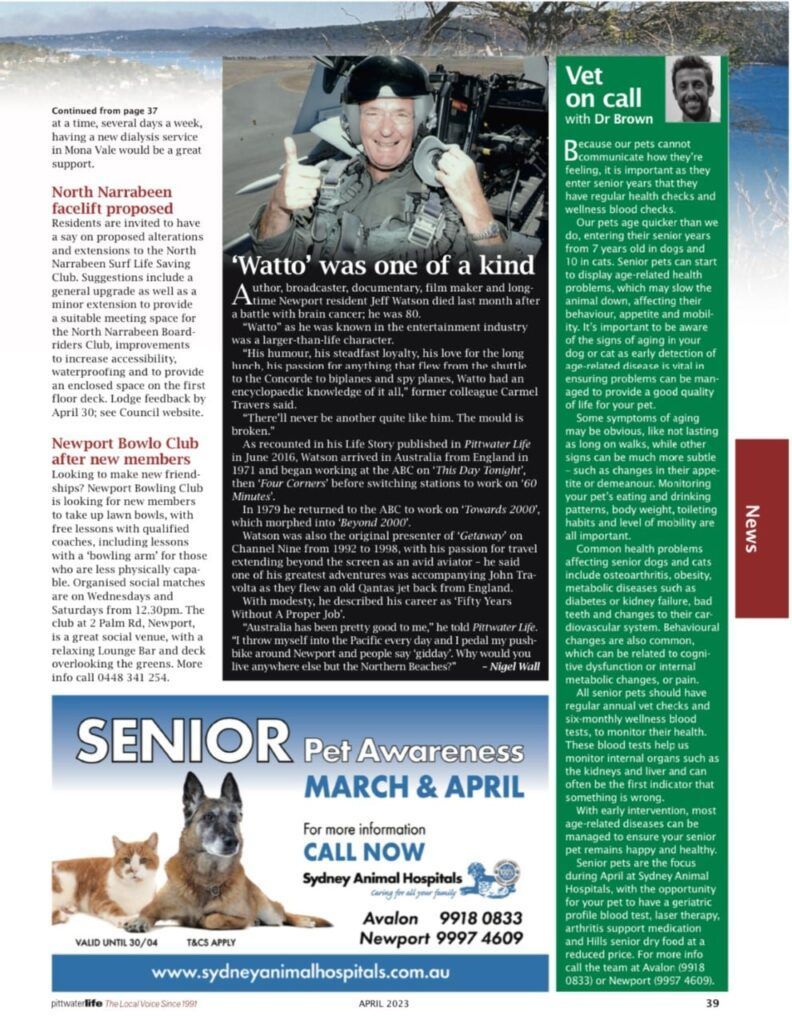 Wellness blood tests for our senior pets