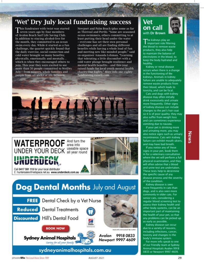 Kidney disease in pets