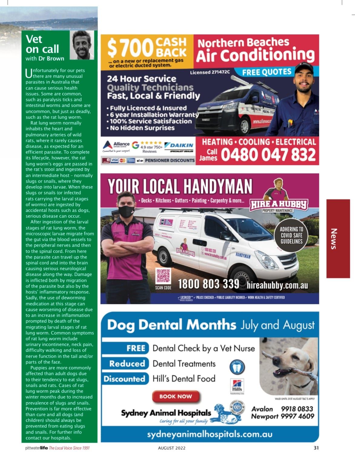 Advertisements for services: vet, air conditioning, handyman, and dog dental care.