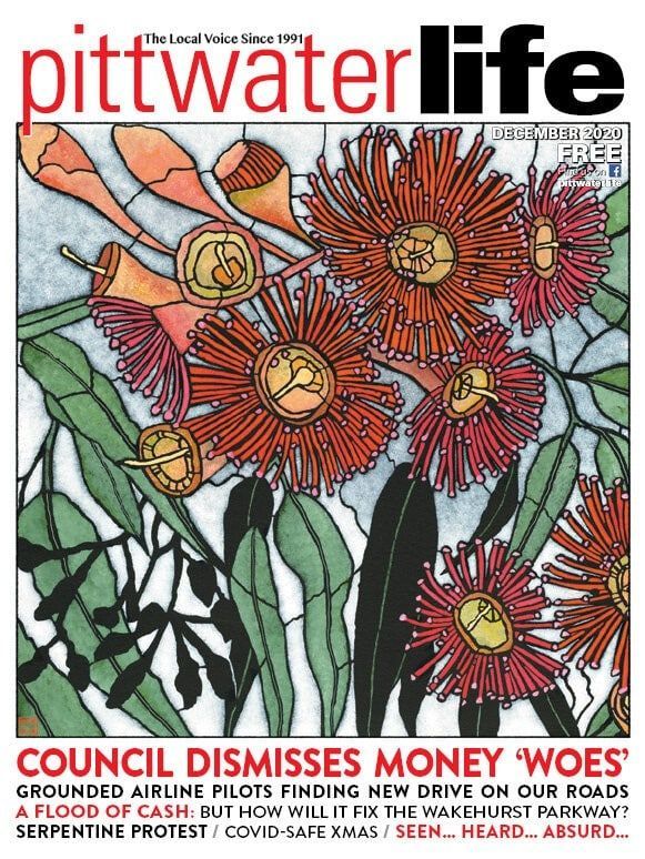 Knee problems in dogs