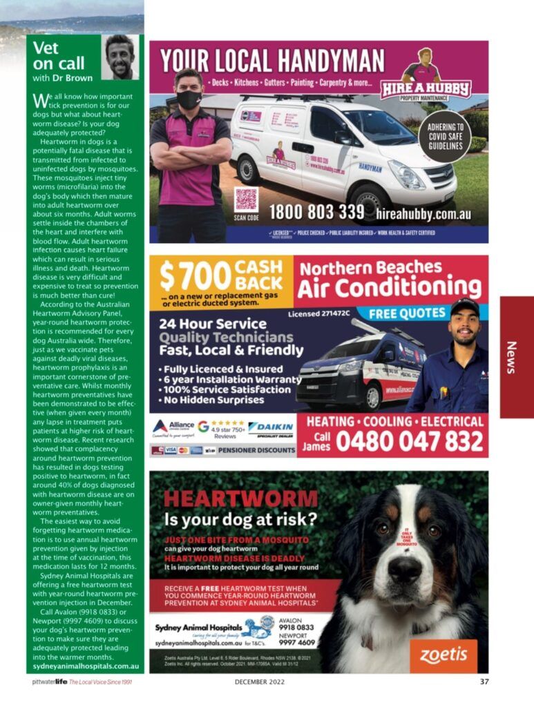 Heartworm disease? Is your dog adequately protected?