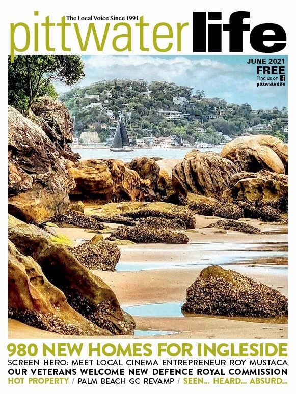 Have We Seen Your Cat Lately?