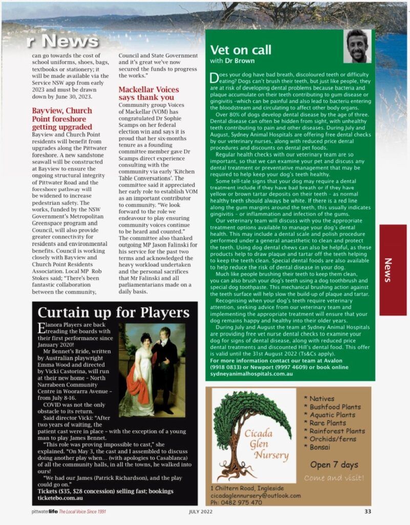 Dog Dental Months July & August 2022