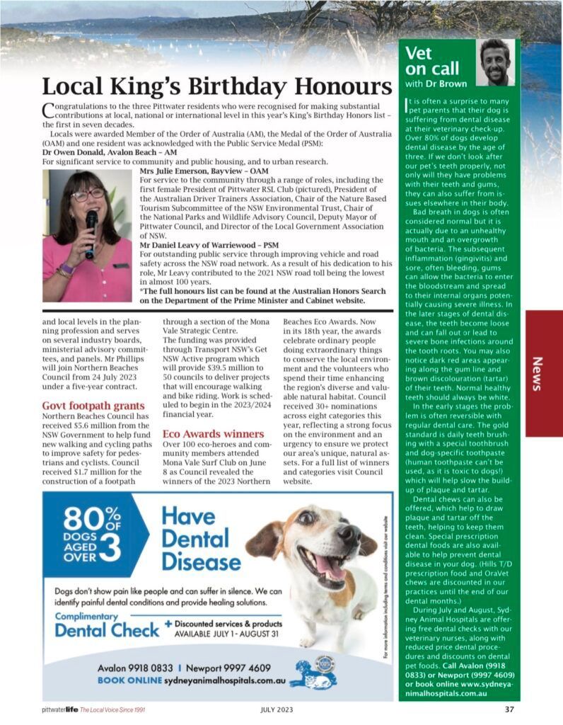 80% of dogs have dental disease by 3yrs