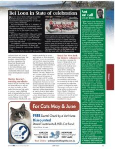 Article with headline 