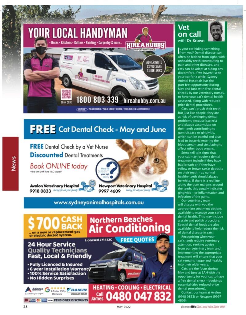 Is your cat hiding something from you?