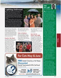 Advertisement for dental checkups and cat food.