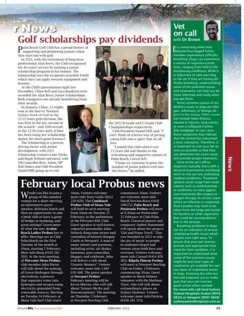 Exploring Causes and Treatments for Dog Breathing Problems