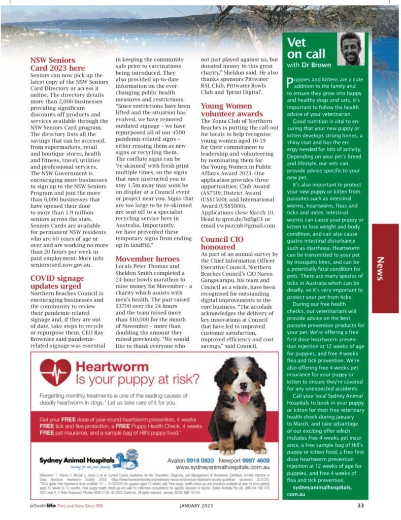 Article with text about MOP services, and heartworm with a puppy advertisement.
