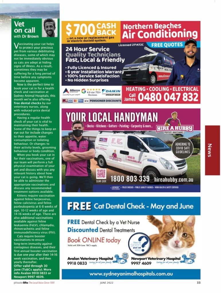 Is your cat hiding something from you? Part 2