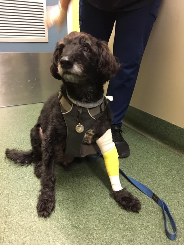 New Cancer Treatment Breakthrough!!