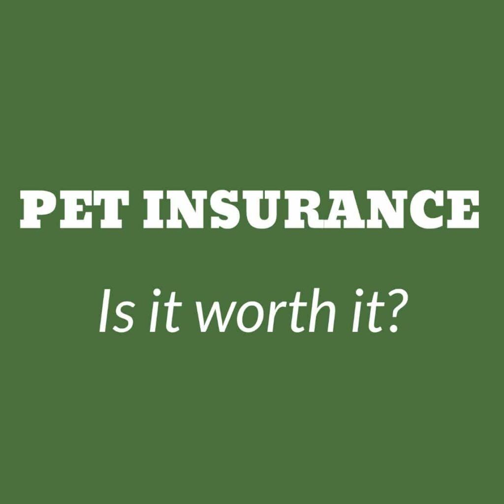 Pet Insurance – Is it worth it?