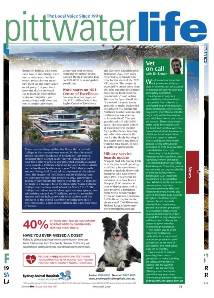 Heartworm in dogs can be deadly!