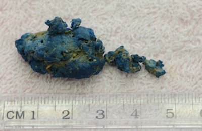 Blue and yellow-toned porous material, approximately 4 cm long, on a white surface with a ruler.