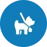 White dog with leash in a blue circle.