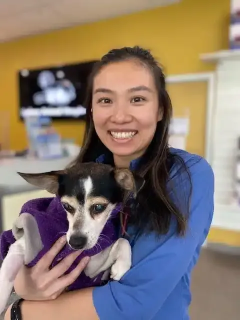 Woman in blue shirt holding a small dog wearing a purple sweater, smiling in a veterinary clinic.