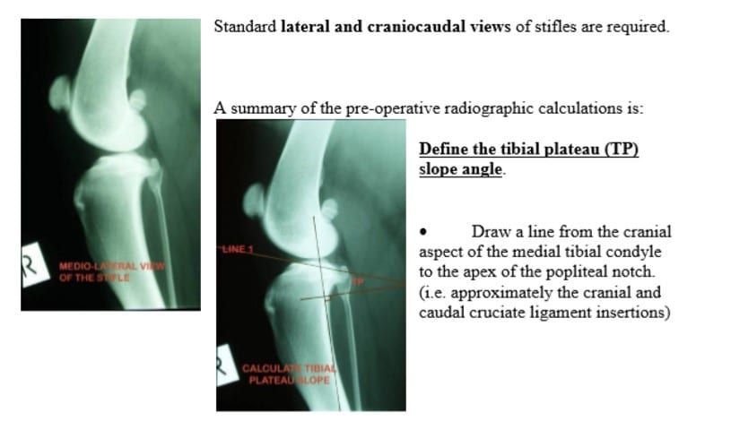 Two X-ray images with text, showing how to define the tibial plateau slope angle on a dog's stifle.