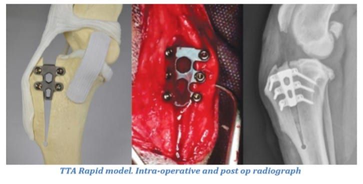 Three views of a canine TTA Rapid procedure: model, intra-operative, and post-op radiograph of the knee with metal plate and screws.