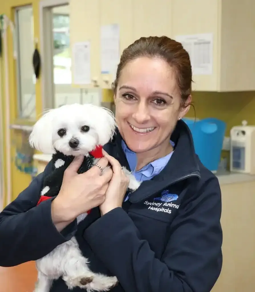 Woman holding a small white dog in a vet clinic, both smiling.
