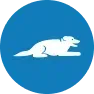 White dog lying down in a blue circle.