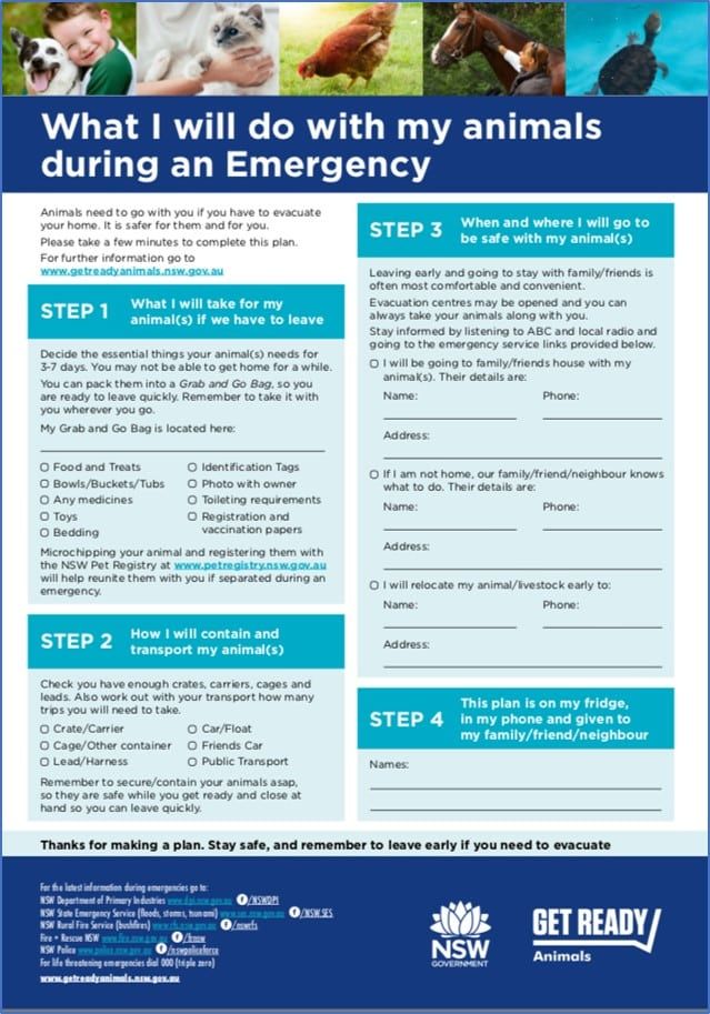 Emergency preparedness poster with sections to plan for animal care during a crisis.