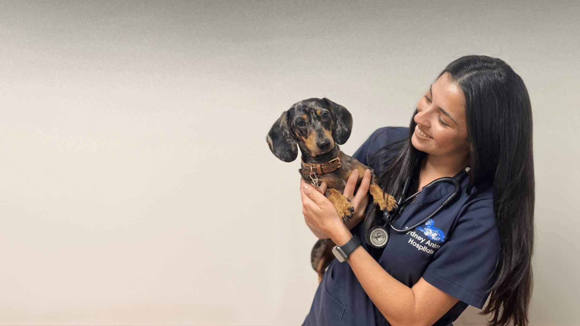 Sydney Animal Hospitals