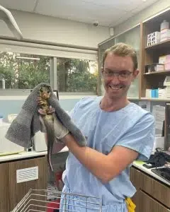 Veterinarian holding a small animal wrapped in a towel. The vet smiles in a clinic setting.
