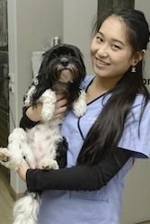 Periodontal disease in our pets by Dr Anne Fawcett