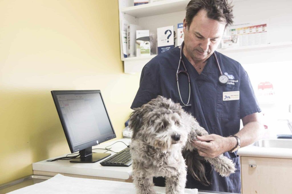 Pet After Hours Emergency Veterinary Hospitals