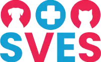 Logo with a dog, a medical cross, and a cat, in circles, above the word 