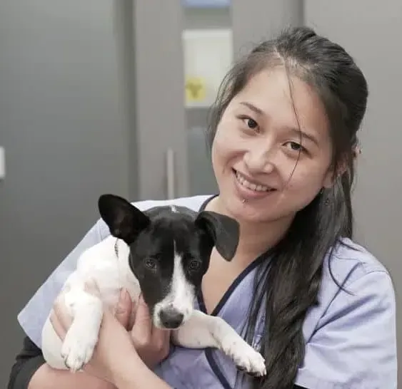 Woman in scrubs holding a black and white dog, smiling in a veterinary clinic.