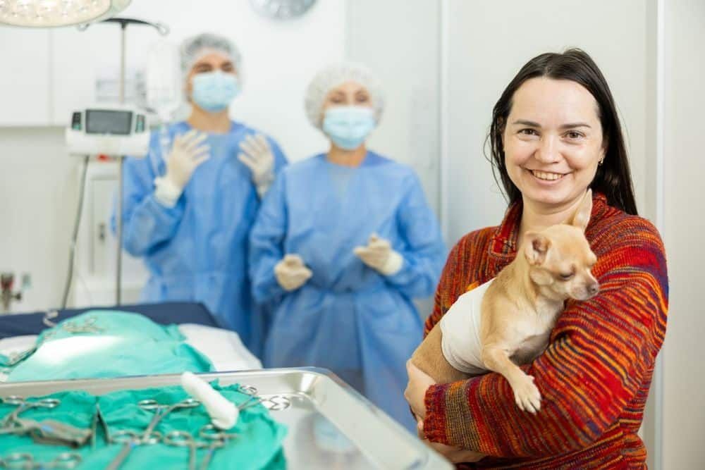 Empowering Pet Owners: Understanding Common Pet Surgeries